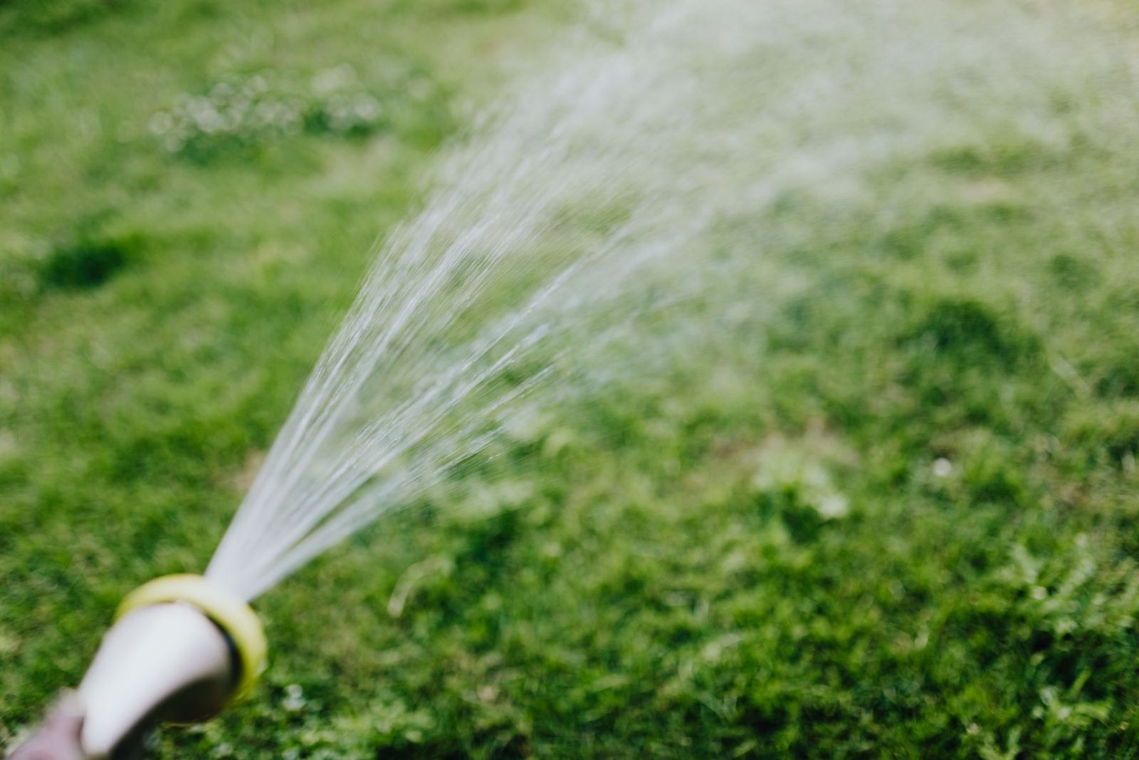 Gartenschlauch sprüht Wasser auf den Rasen