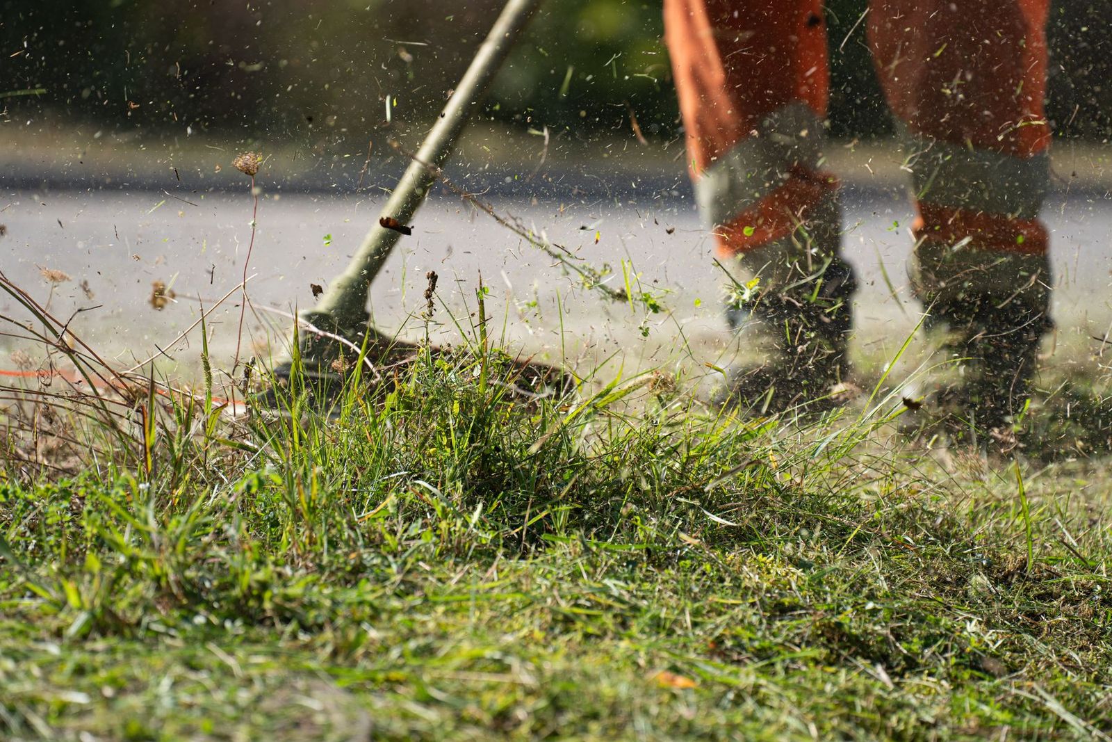 Rasentrimmer schneidet Gras, Schnittgut fliegt